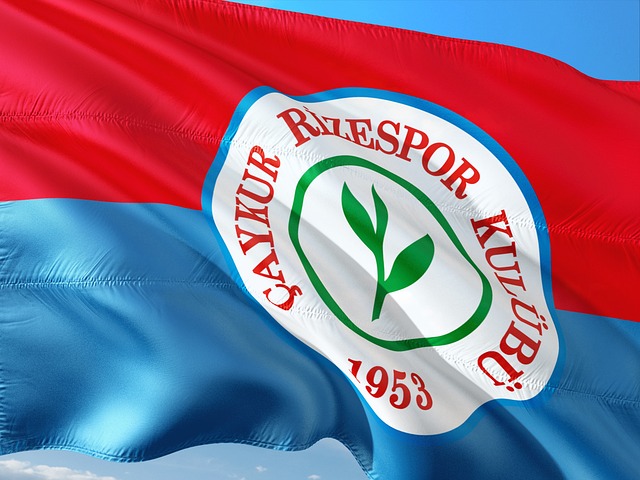 巴黎宣布与 巴黎宣布与