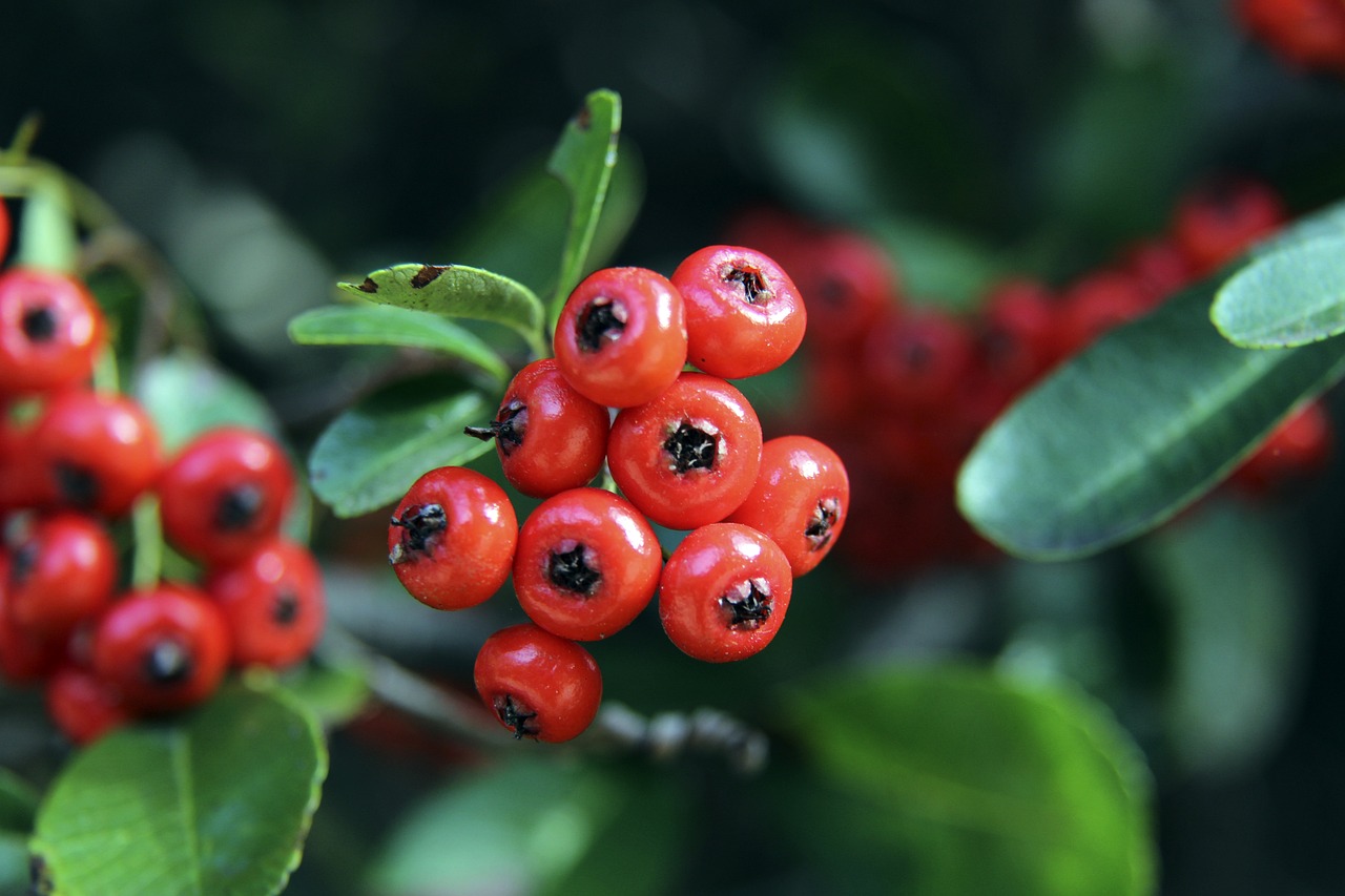 优异的长传 优异的长传