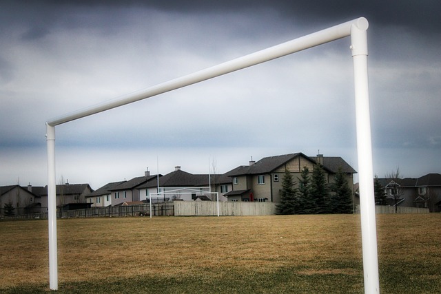 他對俱樂部 他對俱樂部